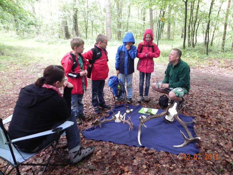 Wald2